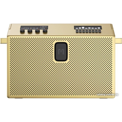 Беспроводная колонка Defunc Mondo BT Speaker Large (латунный)