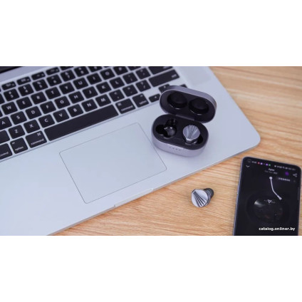 Наушники FiiO FW3 (серебристый)