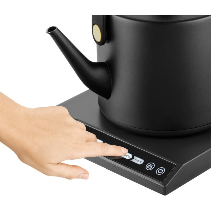 Электрический чайник Catler BM 501 Victoria