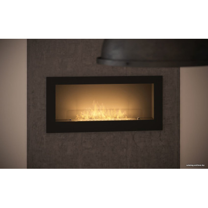 Биокамин Infire Inside 900