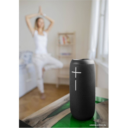 Беспроводная колонка Buxton BBS 5500 (черный)