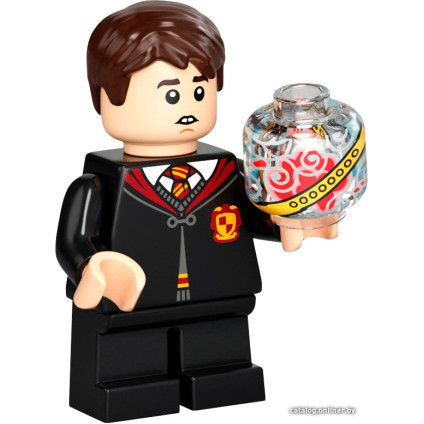 Конструктор LEGO Harry Potter 76395 Хогвартс: первый урок полетов