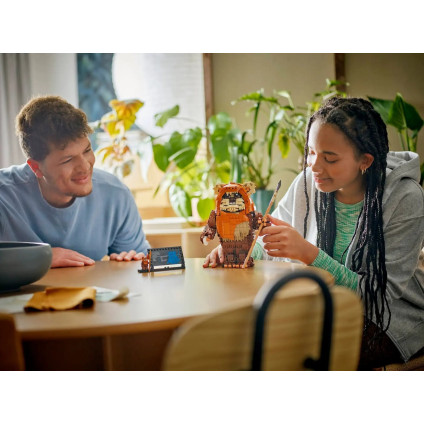 Конструктор LEGO Star Wars 75430 Уикет Эвок