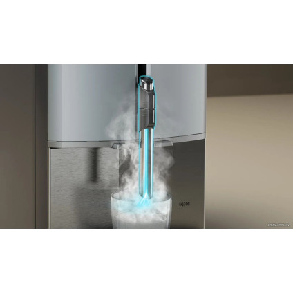 Кофемашина Siemens EQ300 TF301E09