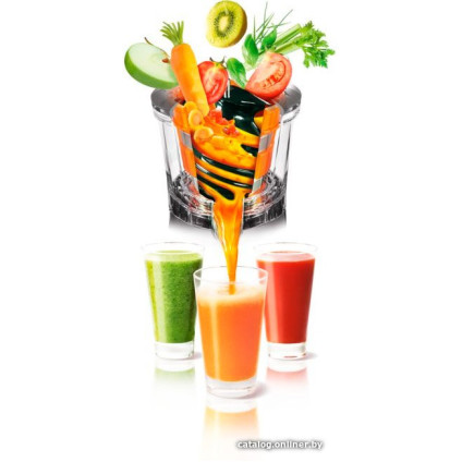 Соковыжималка Tefal ZC255B38