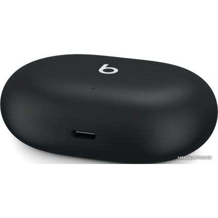 Наушники Beats Studio Buds (черный)