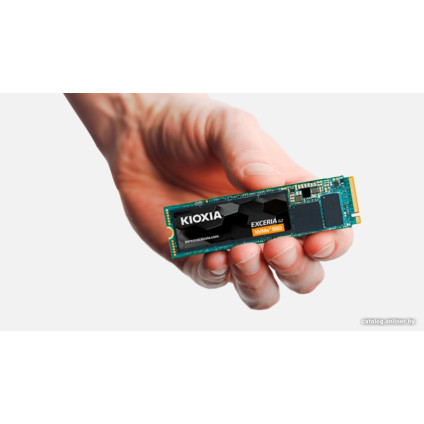 SSD Kioxia Exceria G2 2TB LRC20Z002TG8