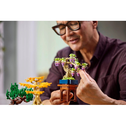 Конструктор LEGO The Botanical Collection 10373 Мини-деревья бонсай
