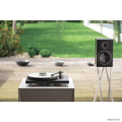 Виниловый проигрыватель Pro-Ject Debut PRO