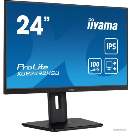 Монитор Iiyama ProLite XUB2492HSU-B6