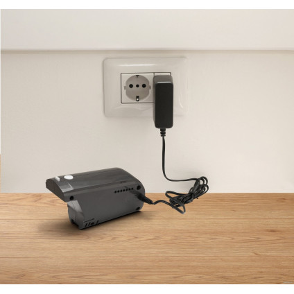 Пылесос Gorenje SVC252GFA