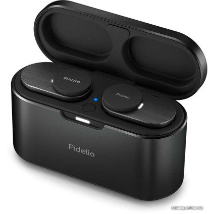 Наушники Philips Fidelio T1BK/00