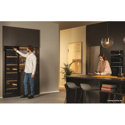 Винный шкаф Haier HWS247GGU1