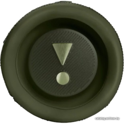 Беспроводная колонка JBL Flip 6 (зеленый)