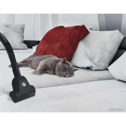 Пылесос Hoover TXL20PET 011