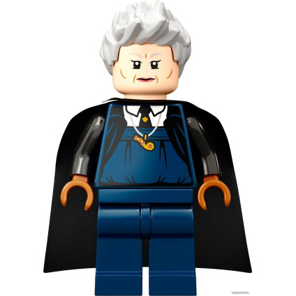Конструктор LEGO Harry Potter 76395 Хогвартс: первый урок полетов