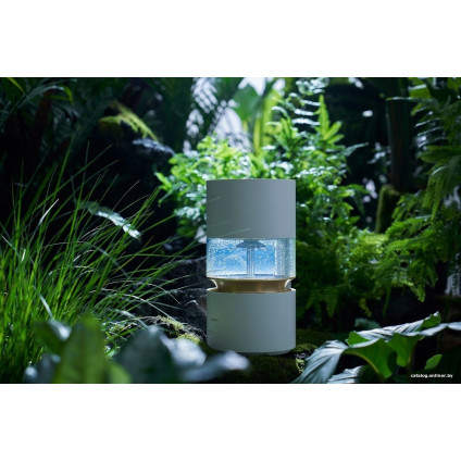 Увлажнитель воздуха SmartMi Humidifier Rainforest CJJSQ06ZM (международная версия)