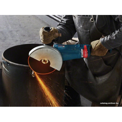 Угловая шлифмашина Bosch GWS 24-230 P Professional 06018C3100