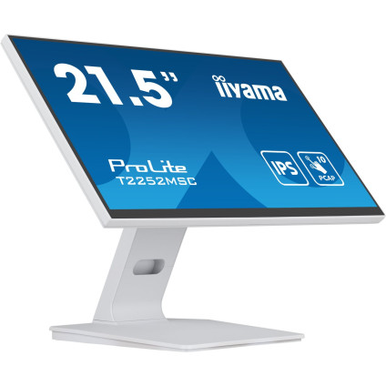 Монитор Iiyama ProLite T2252MSC-W2