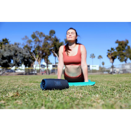 Беспроводная колонка JBL Charge 5 (белый)