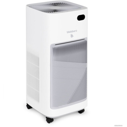 Климатический комплекс Webber AP9650