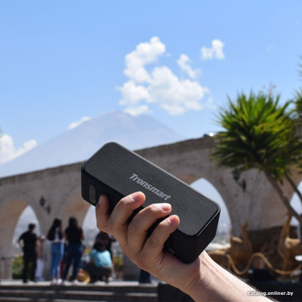 Беспроводная колонка Tronsmart T2 Plus (черный)