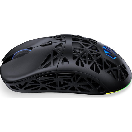 Игровая мышь Endorfy LIV Plus Wireless