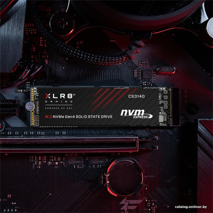 SSD PNY XLR8 CS3140 Heatsink 1TB M280CS3140-1TB-RB