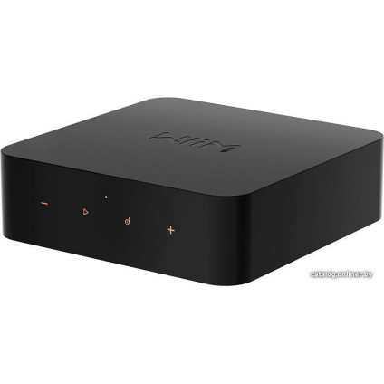 Сетевой проигрыватель WiiM Pro