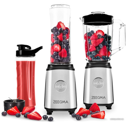Стационарный блендер Zeegma Vitamine MIX&GO