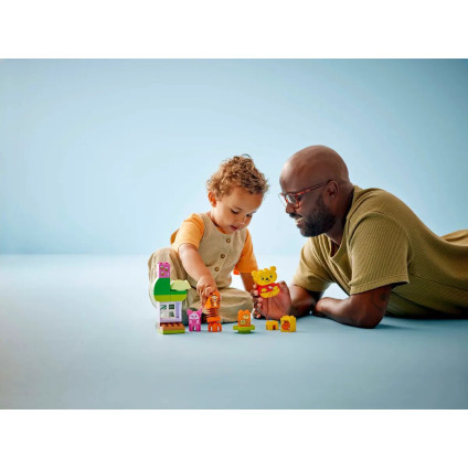 Конструктор LEGO Duplo Disney День Рождения 10457