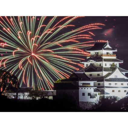 Фотоаппарат Nikon Coolpix P1100