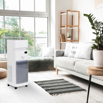 Климатический комплекс Webber AP9650