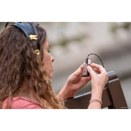 Портативный усилитель iFi audio Go Blu