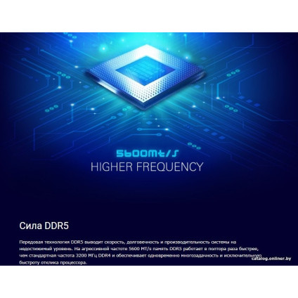 Оперативная память Silicon-Power 16ГБ DDR5 4800 МГц SP016GBLVU480F02