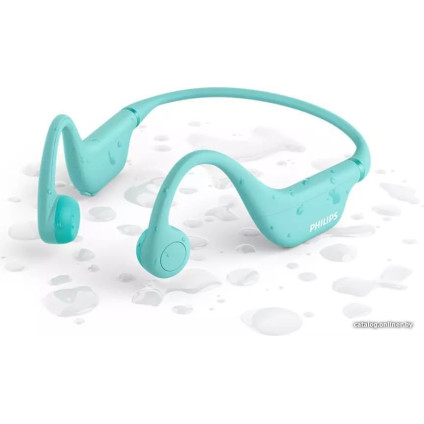 Наушники Philips TAK4607GR/00