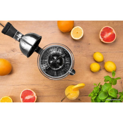 Соковыжималка Goetze & Jensen CJ701X