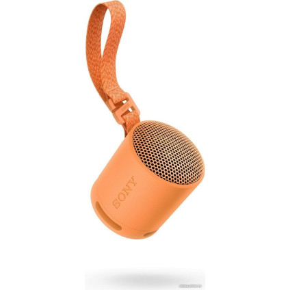 Беспроводная колонка Sony XB100 (оранжевый)
