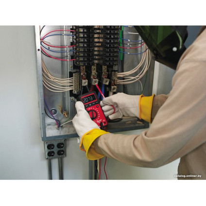 Мультиметр Milwaukee 2217-40 4933416976