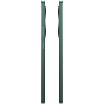 Телефон Realme 12 RMX3871 8GB/256GB международная версия (зеленый малахит)