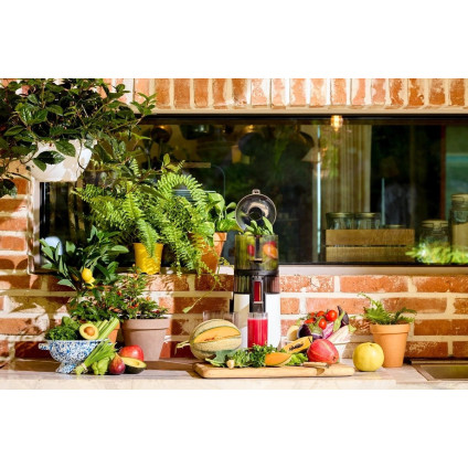 Соковыжималка Hurom H70 Pure (белый)