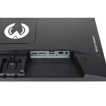 Игровой монитор Iiyama G-Master Black Hawk G2445HSU-B2