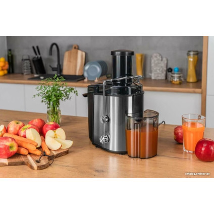 Соковыжималка Gotze & Jensen JM501X
