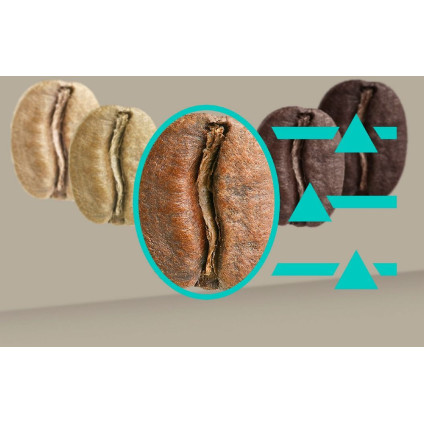 Кофемашина Siemens EQ900 TQ905RZ5