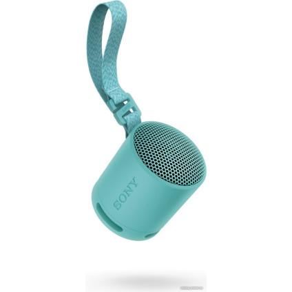 Беспроводная колонка Sony XB100 (голубой)
