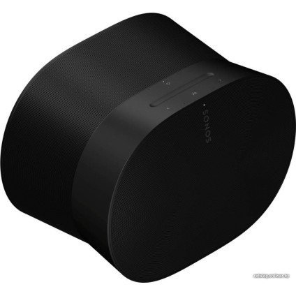 Беспроводная аудиосистема Sonos Era 300 (черный)