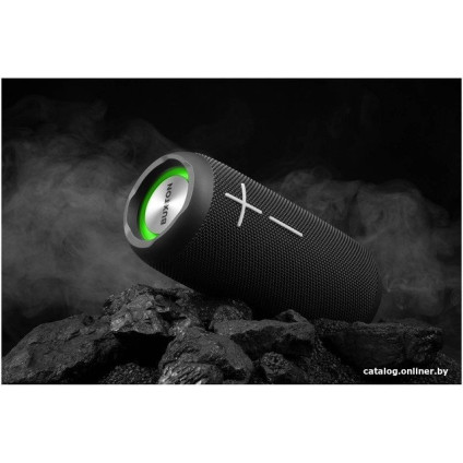 Беспроводная колонка Buxton BBS 5500 (черный)