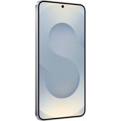 Телефон Samsung Galaxy S25 SM-S9310 12GB/256GB (серый)