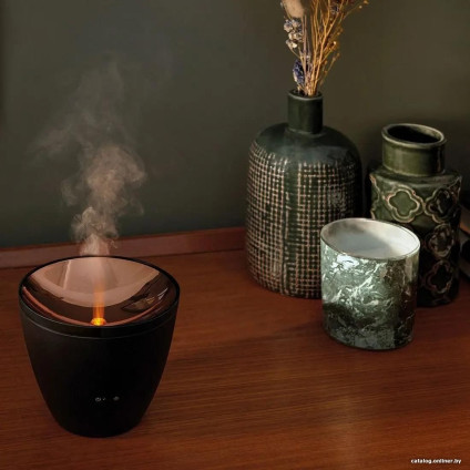 Увлажнитель воздуха Stadler Form Zoe (черный)