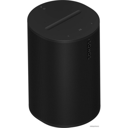 Беспроводная аудиосистема Sonos Era 100 (черный)